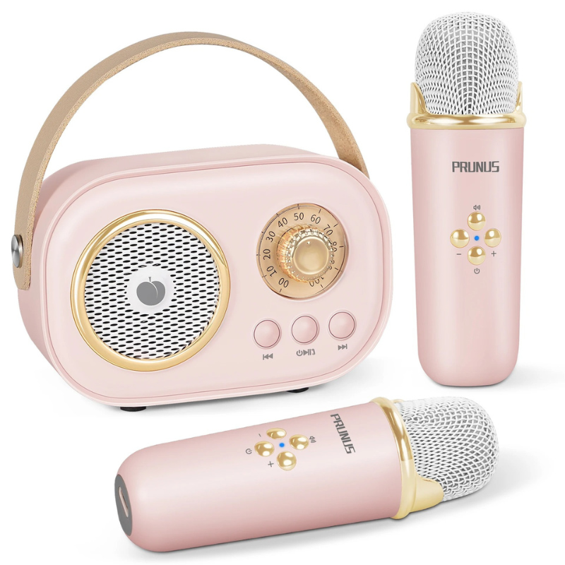 Portable Karaoke Machine Lets You Take the Fun Anywhere, Turning Any
