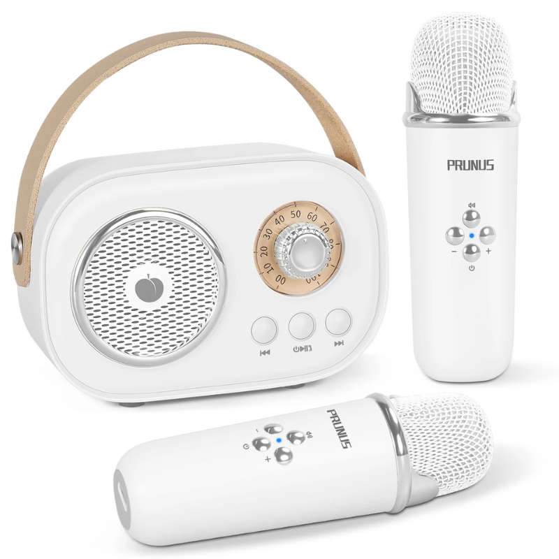 Portable Karaoke Machine Lets You Take the Fun Anywhere, Turning Any