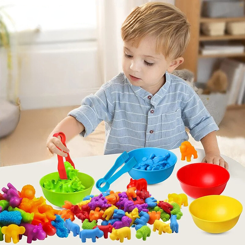 Montessori Sorting Game - main product image