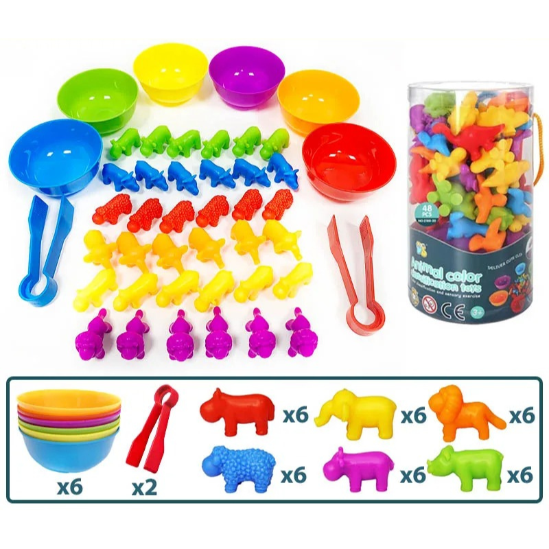 Montessori Sorting Game