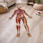 Human Anatomy Floor Puzzle for Kids Education - main product image