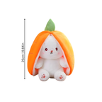 Cute Transforming Plush