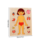 Anatomy Puzzle