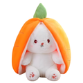 Cute Transforming Plush - main product image