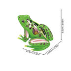 4D Anatomy Toy