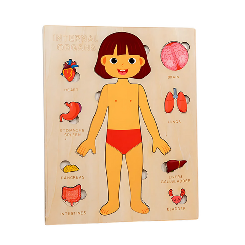 Anatomy Puzzle - main product image