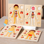 Anatomy Puzzle