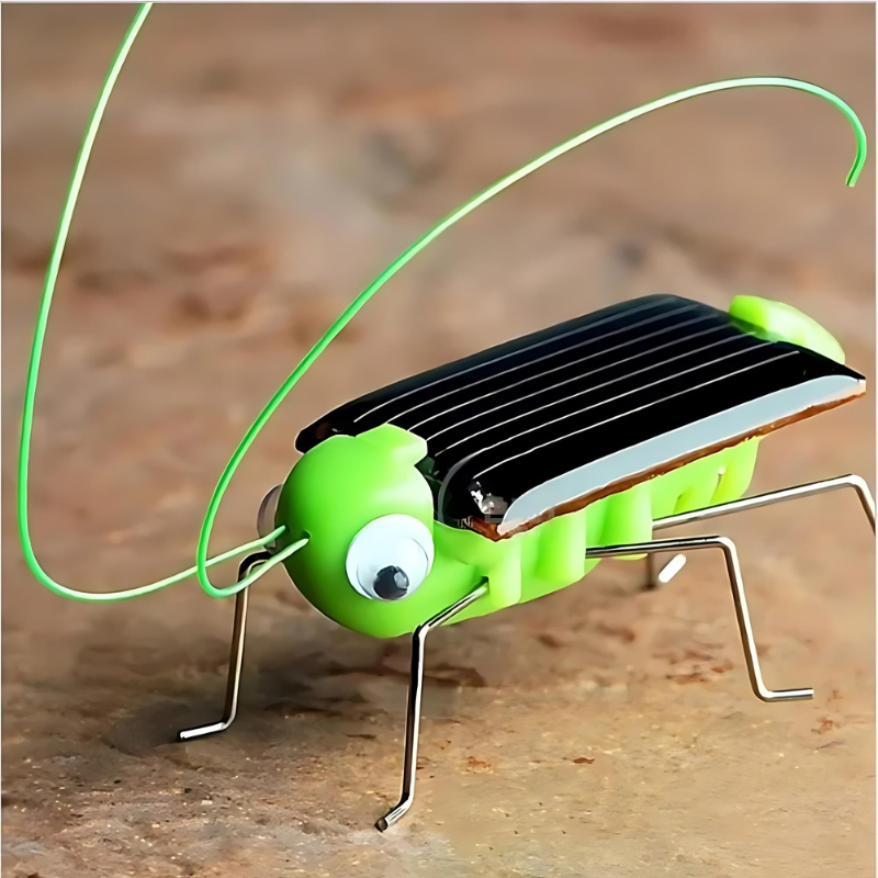 Fun Outdoor Activity