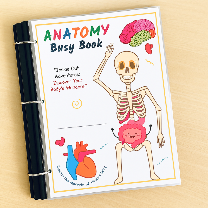 Interactive Human Body Book