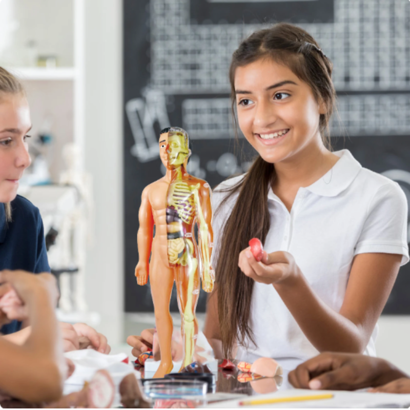 3D Model Isn't Just A Learning Tool - main product image