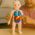 Interactive Adventure - main product image