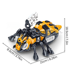 Sensory-packed, Educational Toy