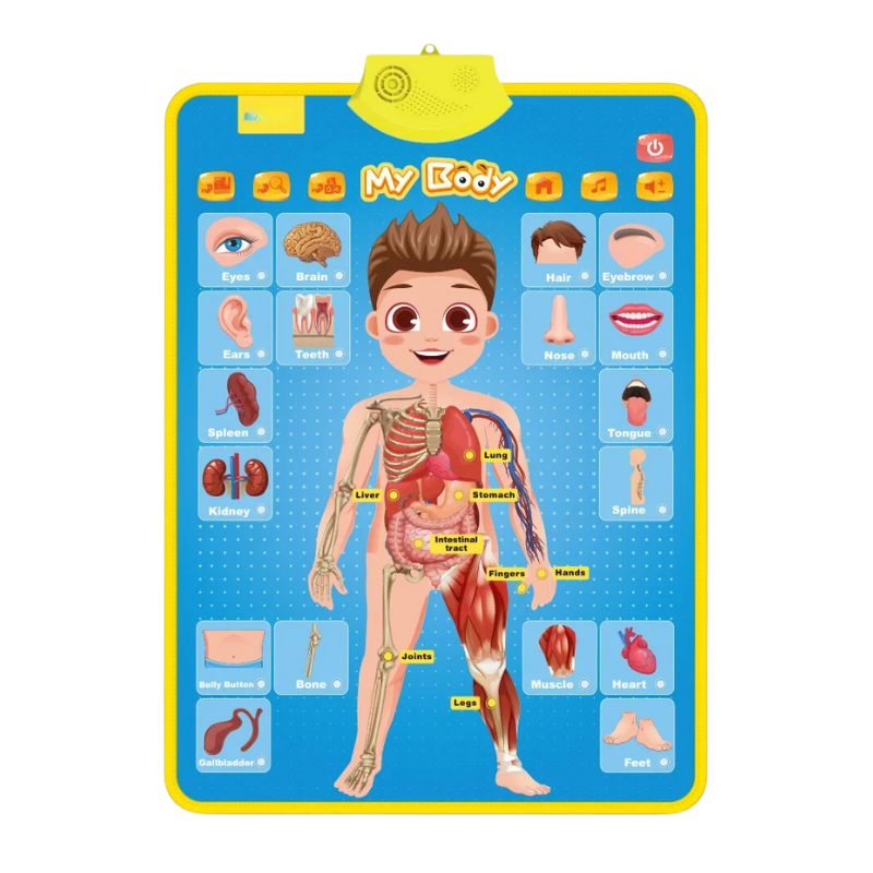 Fun Educational Tool