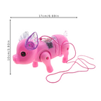 Leash and Walks Their New Friend Around, They’ll Enjoy A Playful Mix