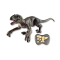Light and Roar Effects - main product image