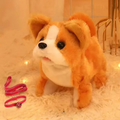 Toy Promotes Active Play and Keeps Your Kids On Their Toes, Making - main product image
