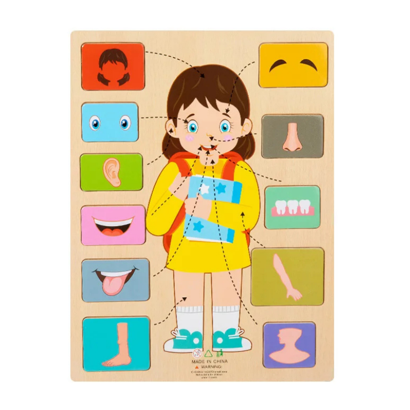 Montessori Wooden Puzzle