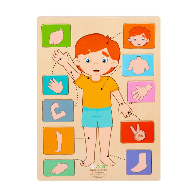 Montessori Wooden Puzzle