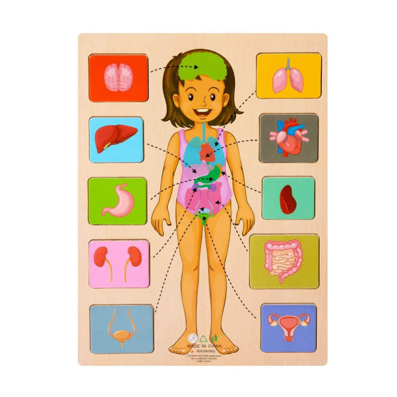 Montessori Wooden Puzzle