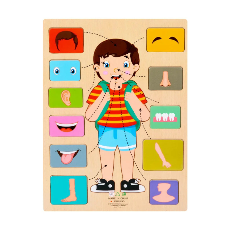 Montessori Wooden Puzzle