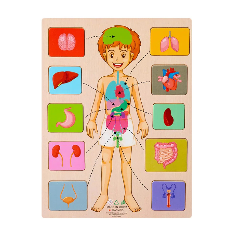Montessori Wooden Puzzle
