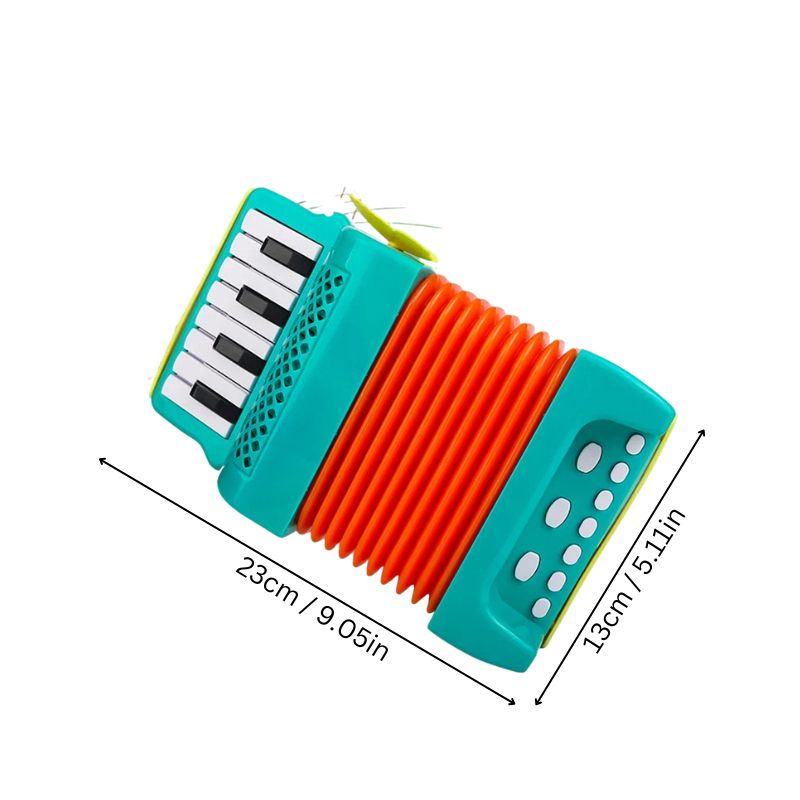 Colorful Accordion Toy