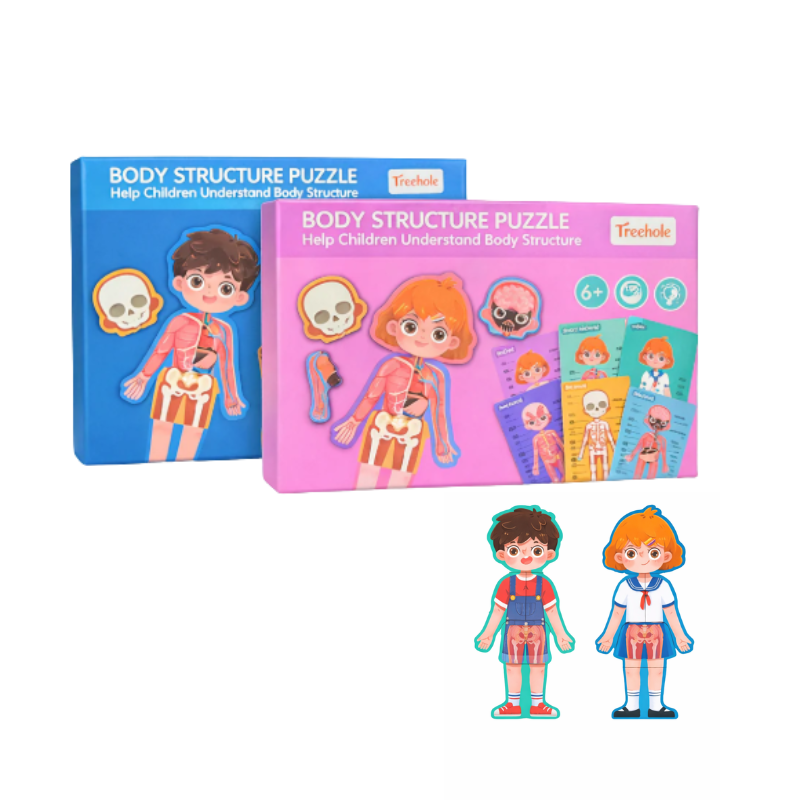 Wooden Anatomy Puzzle for Growing Minds