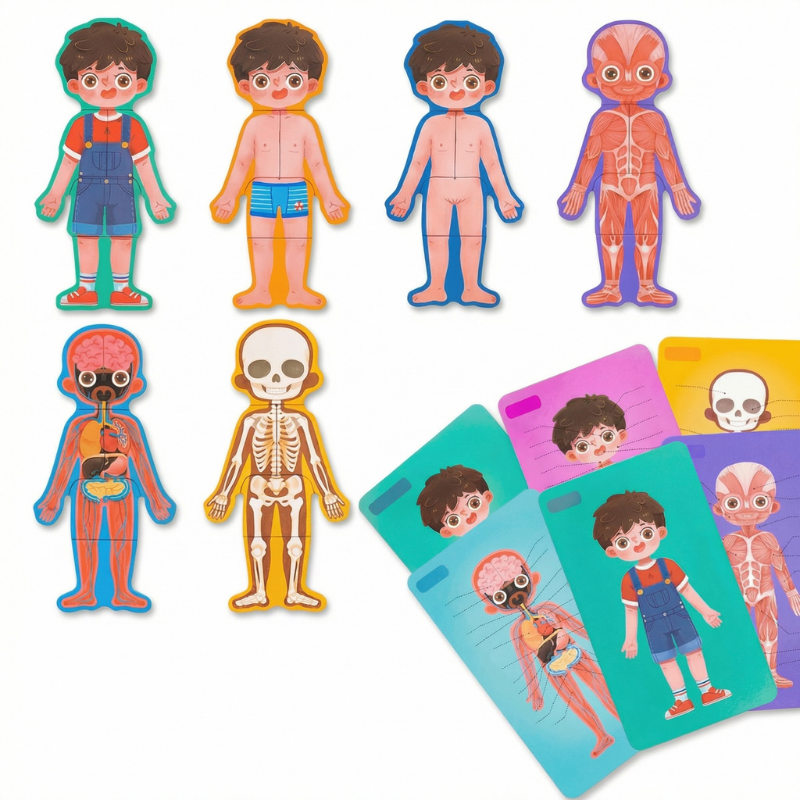 Wooden Anatomy Puzzle for Growing Minds - main product image