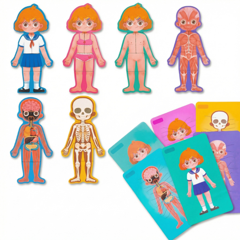 Wooden Anatomy Puzzle for Growing Minds