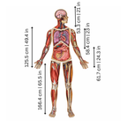 Human Anatomy Floor Puzzle for Kids Education