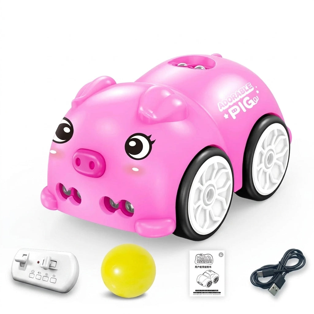 Smart Following RC Car
