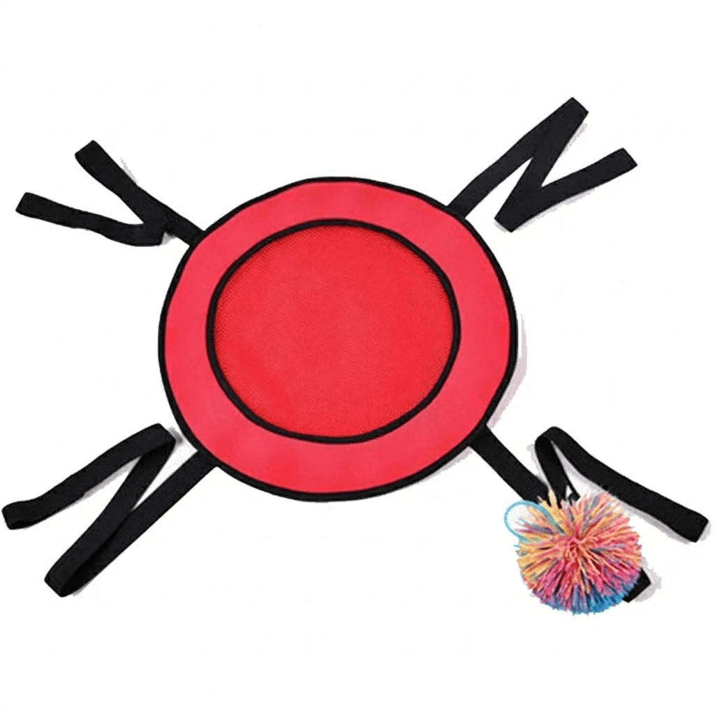 Two-Player Toss Ball Game for Outdoor Active Play - main product image