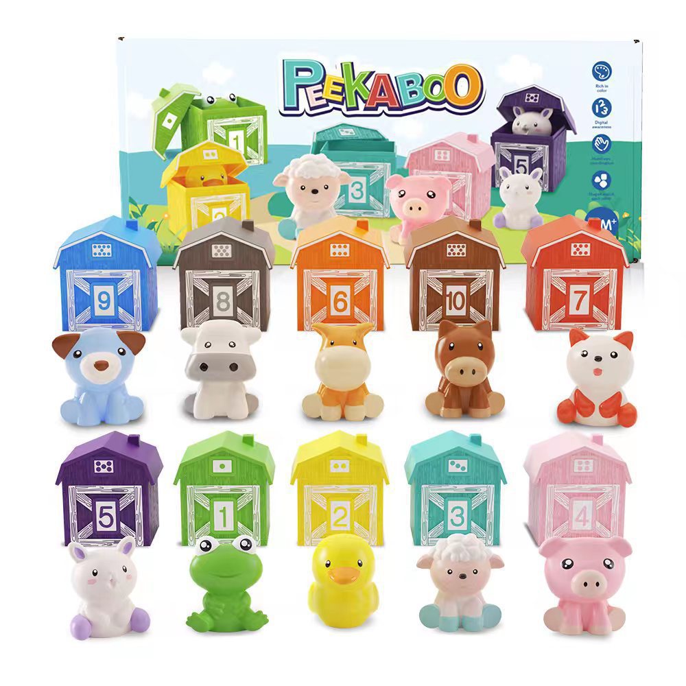 Our Educational Exploration Toy