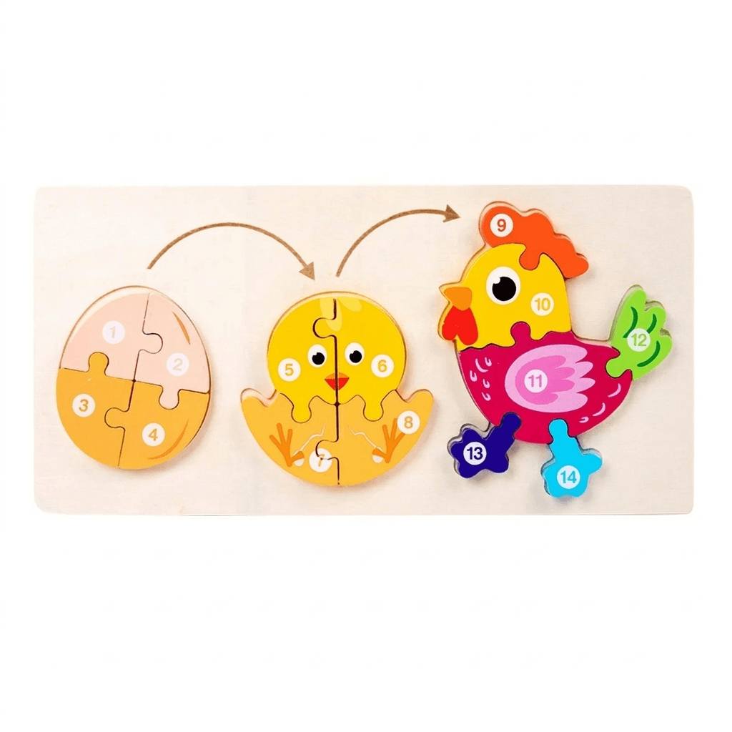 Wooden Life Cycle Puzzle Set for Curious Little Learners