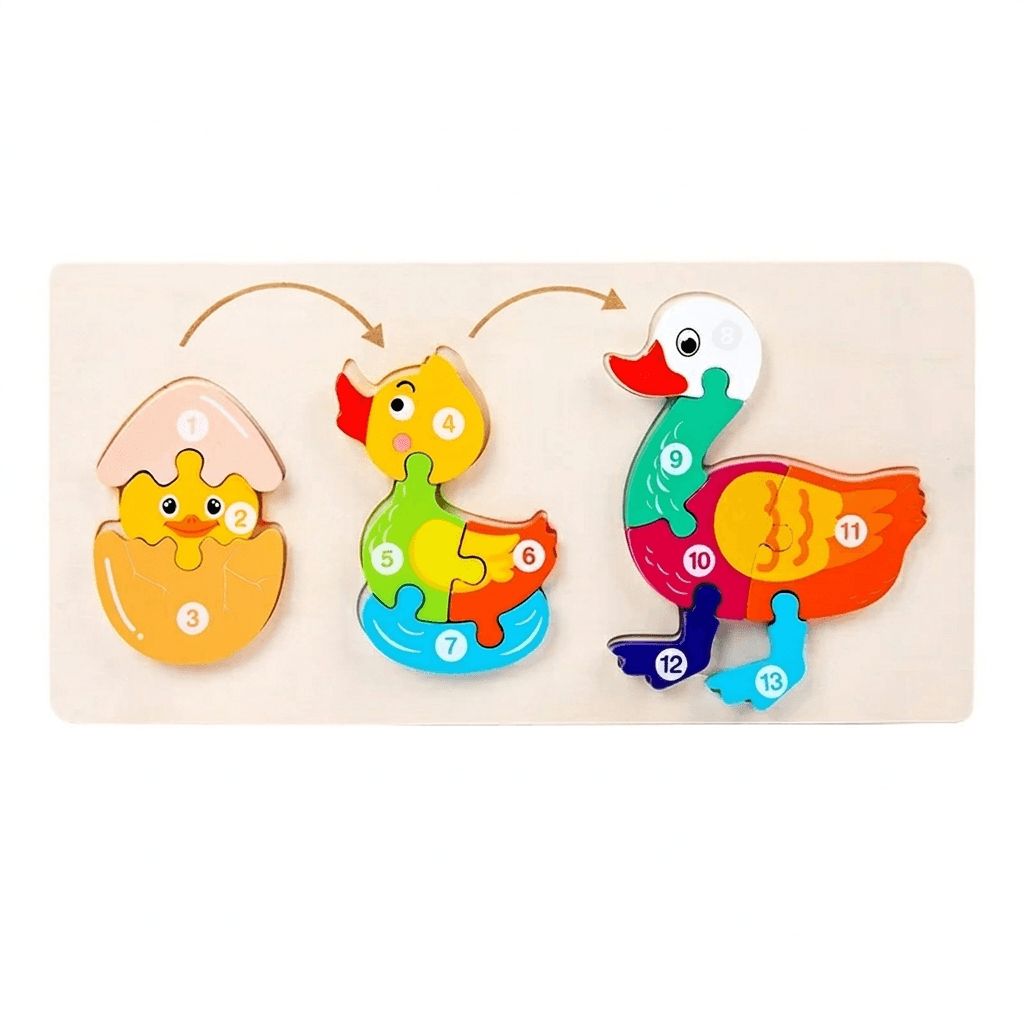 Wooden Life Cycle Puzzle Set for Curious Little Learners