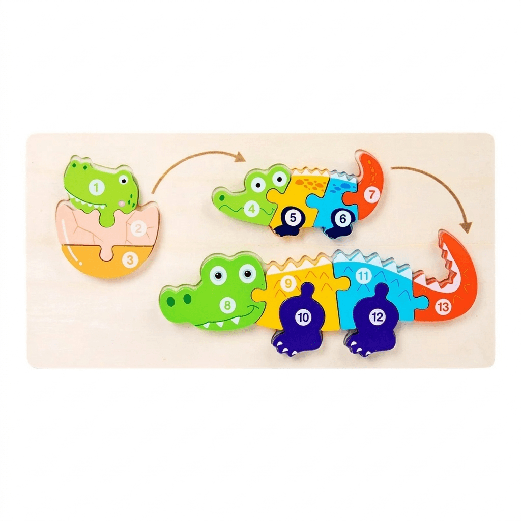 Wooden Life Cycle Puzzle Set for Curious Little Learners